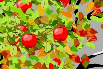 4. Klasse der VS Hyrtlplatz / Mödling / pusteblume0815 / pixabay / apfel-apfelbaum-jahreszeiten-3311094